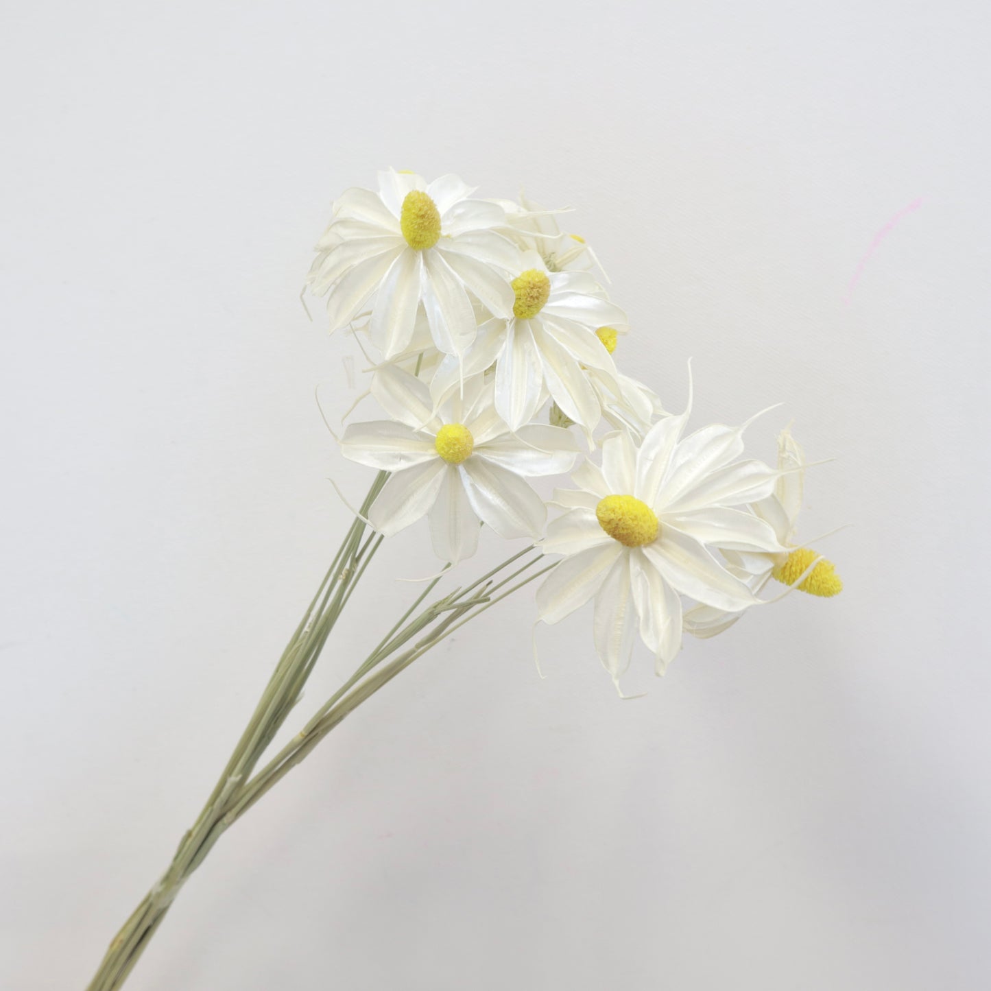 Handmade Daisy White