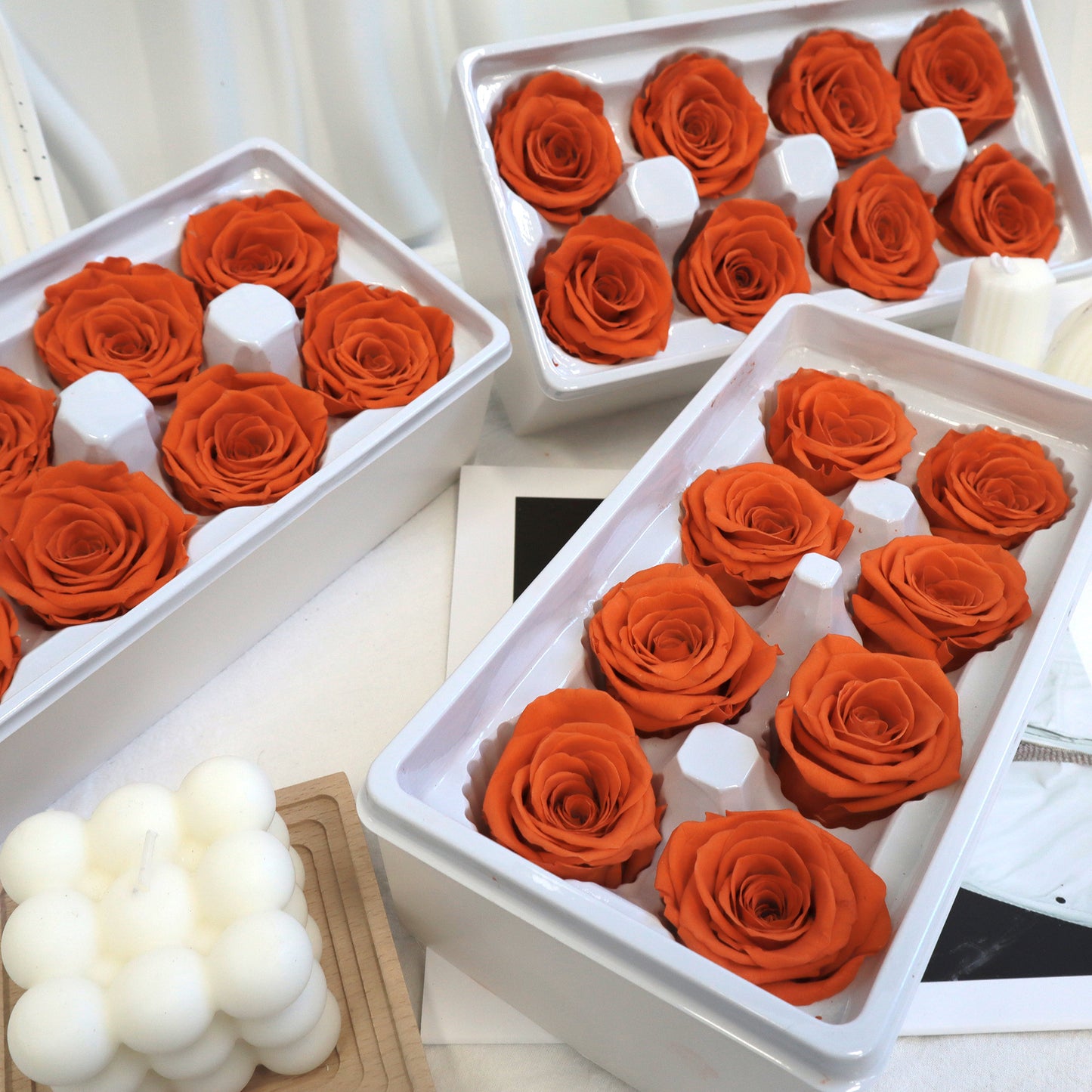 Rose Orange 8 kepala