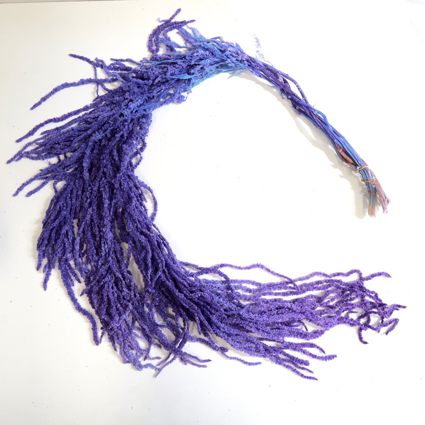 Amaranthus Purple