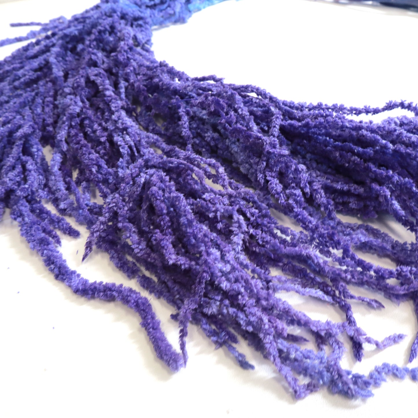 Amaranthus Purple