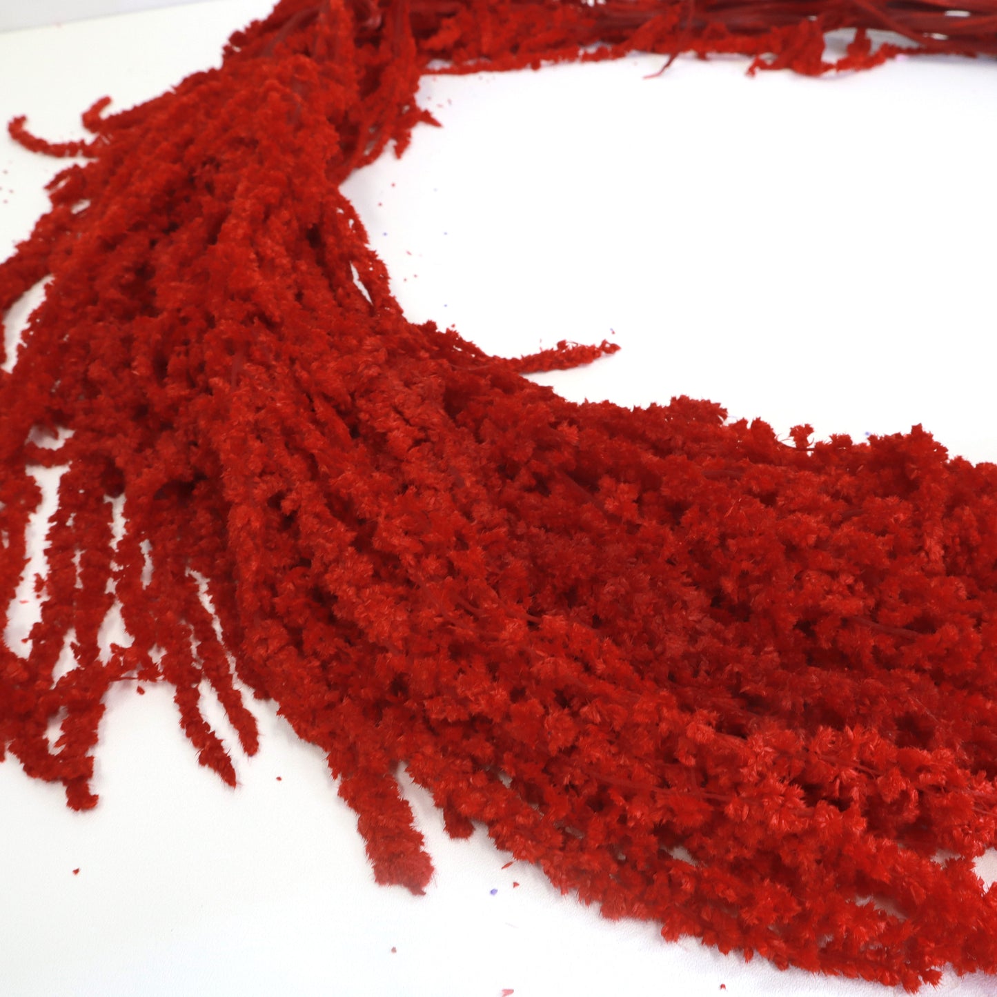 Amaranthus Red