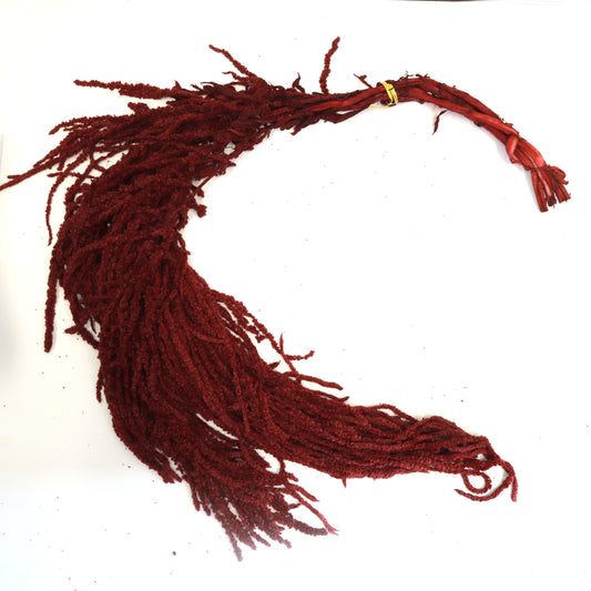 Amaranthus Merah Gelap