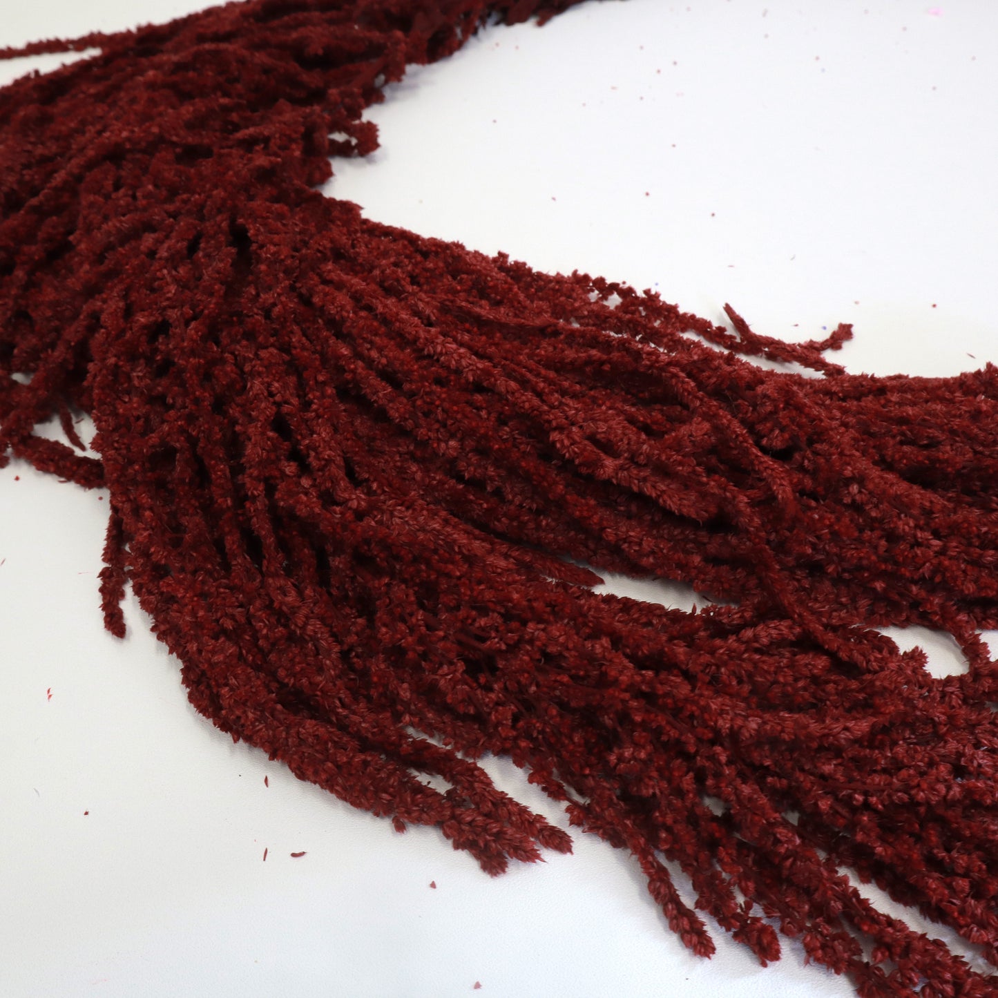 Amaranthus Merah Gelap