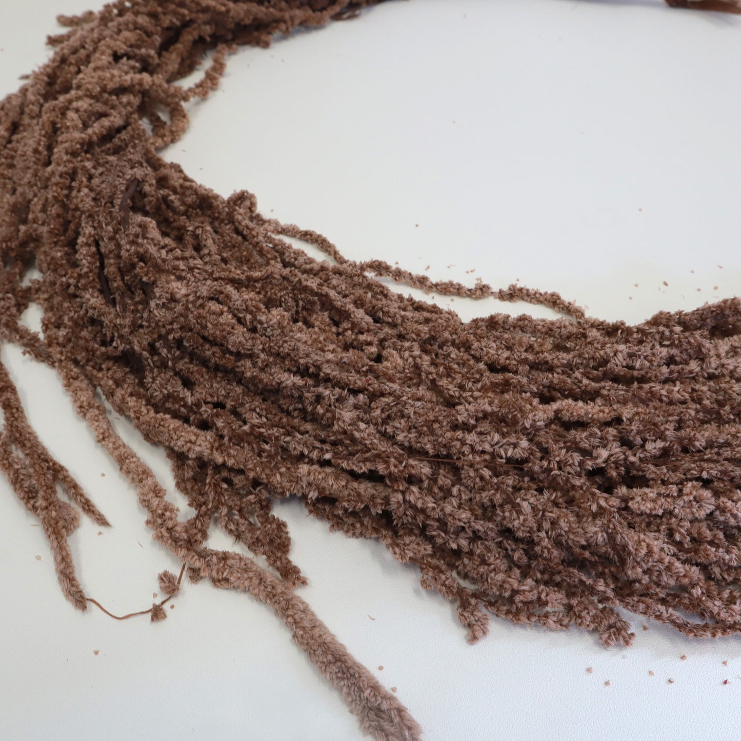 Amaranthus Brown