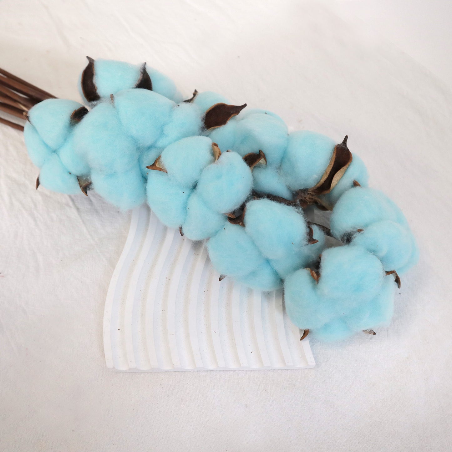 Cotton 10 stems Blue