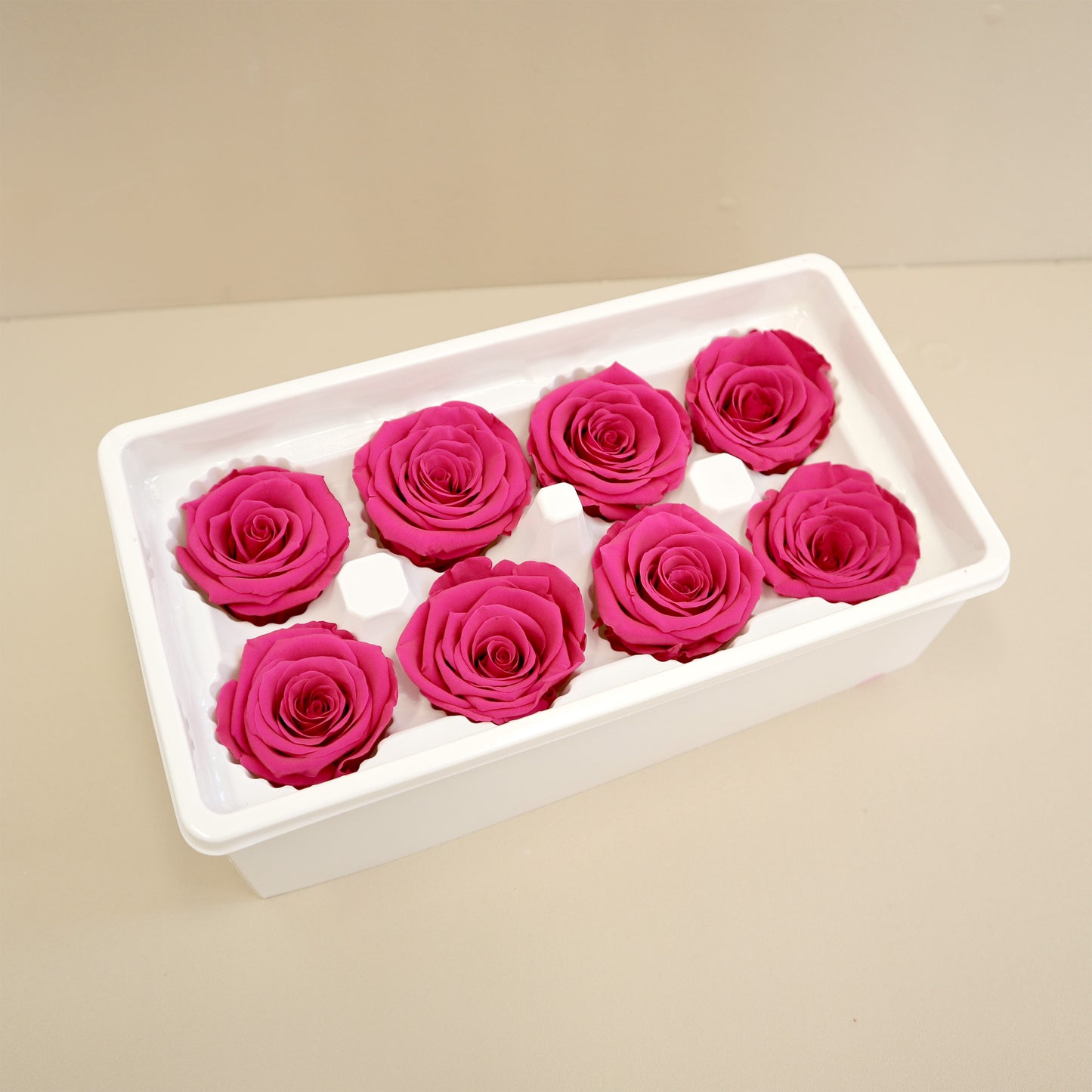 Rose Magenta 8 Kepala