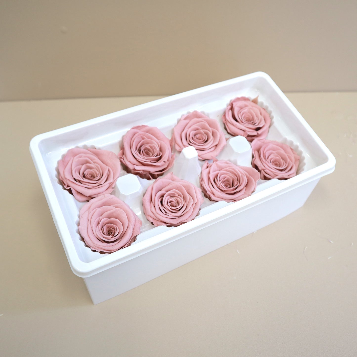 Rose Dusty Pink 8 kepala