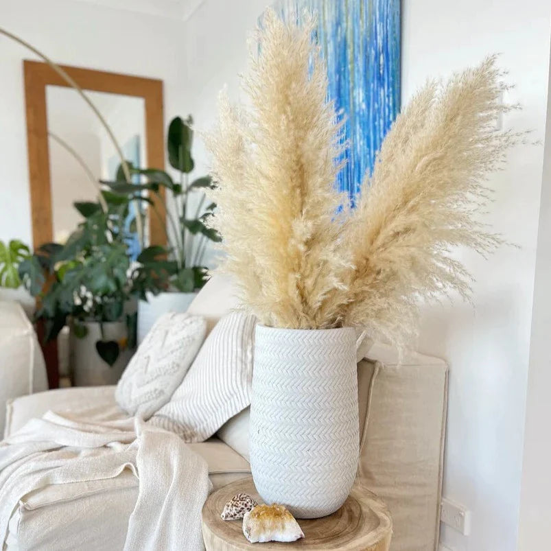 10 Stems of Pampas Grass Natural