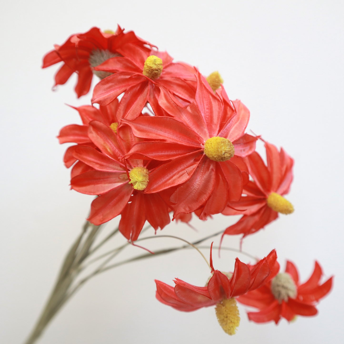 Merah Daisy Buatan Tangan