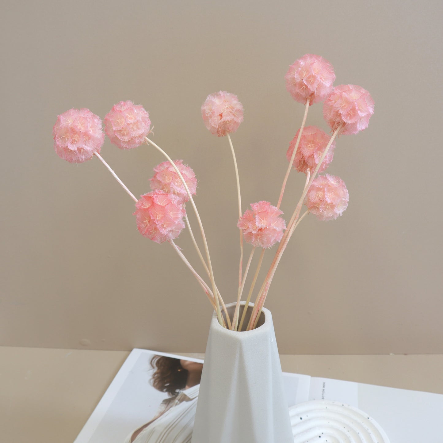 Scabiosa Blush Pink