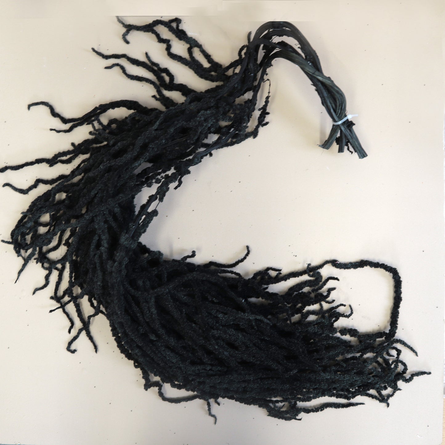 Amaranthus Black