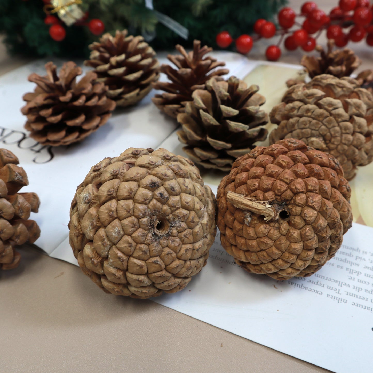 Pine Cone Heads