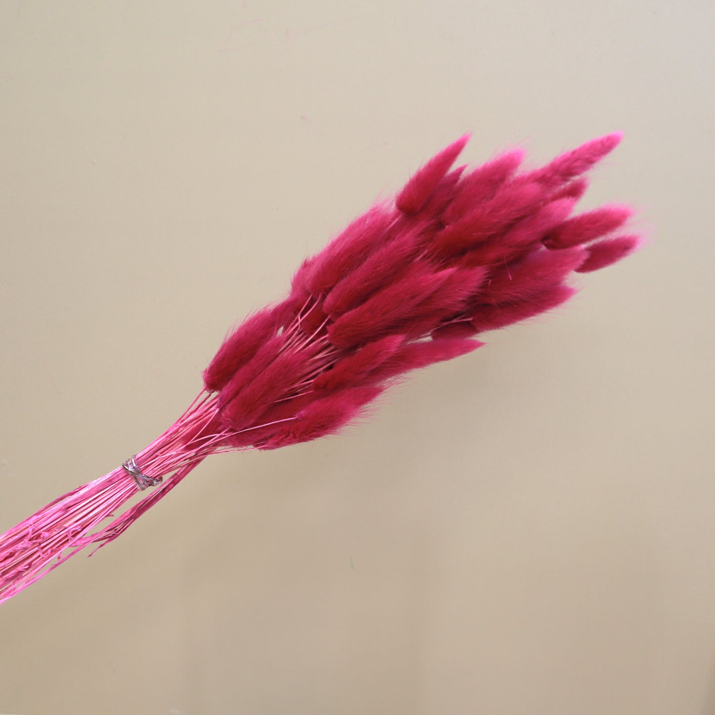 Bunny Tails Magenta