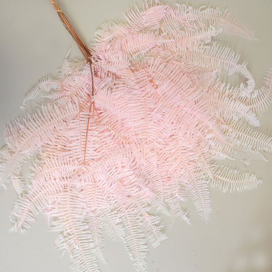 Mountain Fern Pink