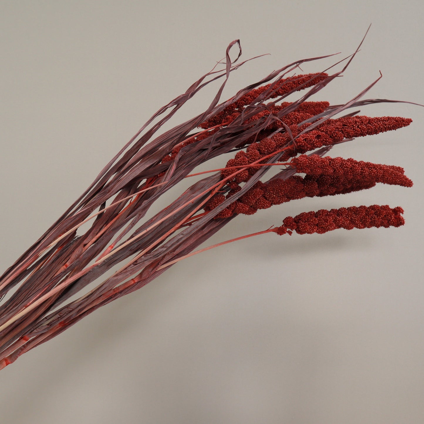 Dried Millets Red