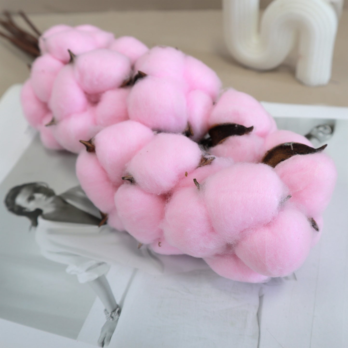 Cotton 10 stems Pink