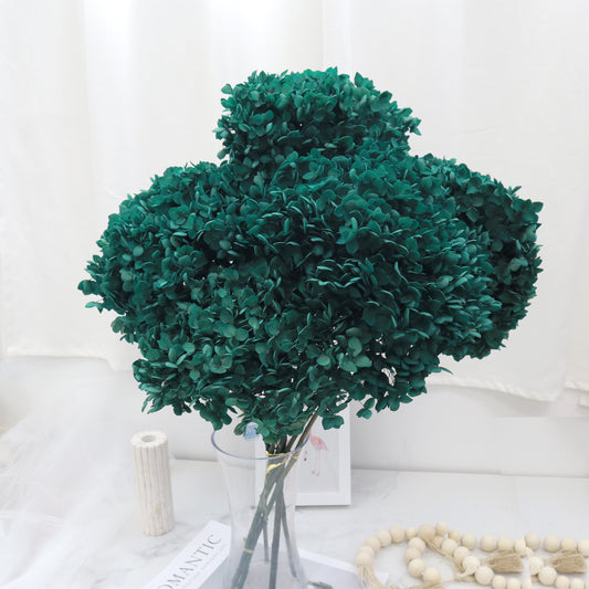 40 Batang Hydrangea Dark Teal