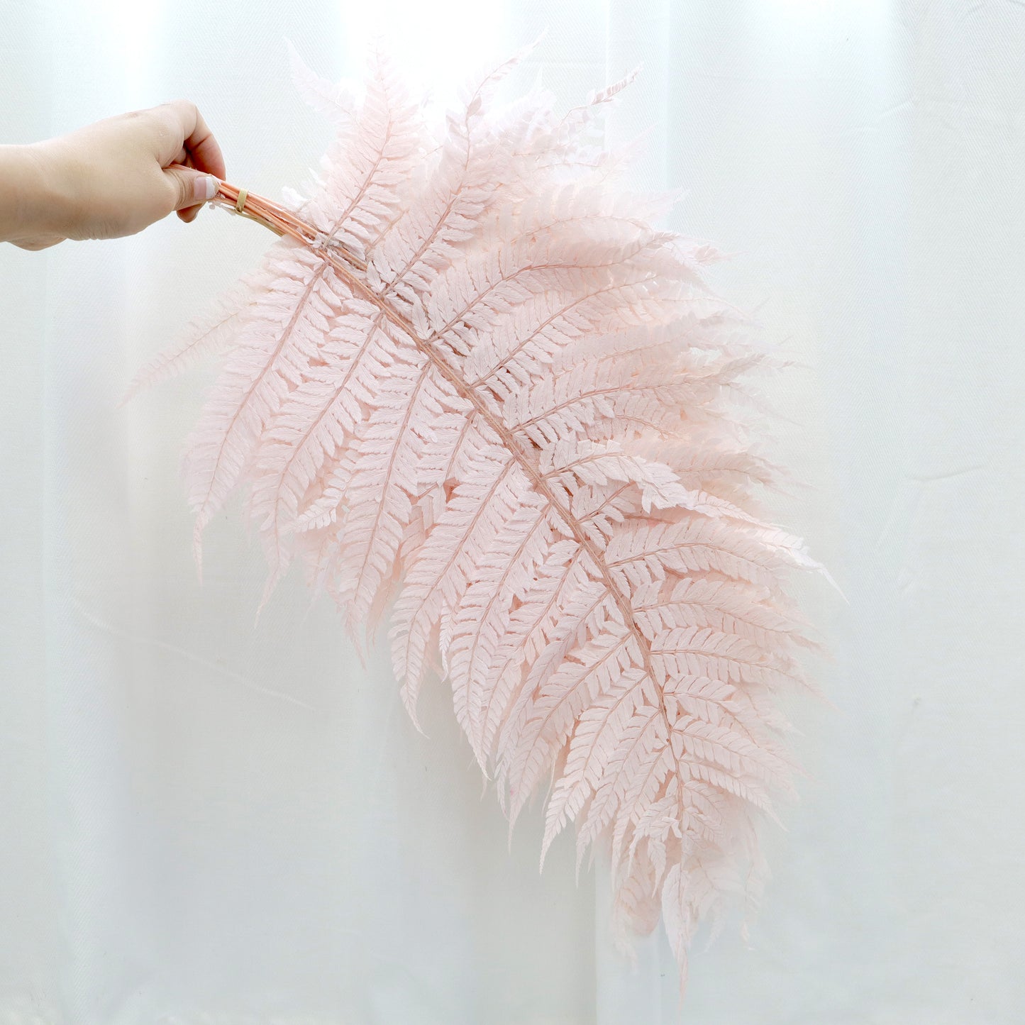 Leather Fern Medium Pink