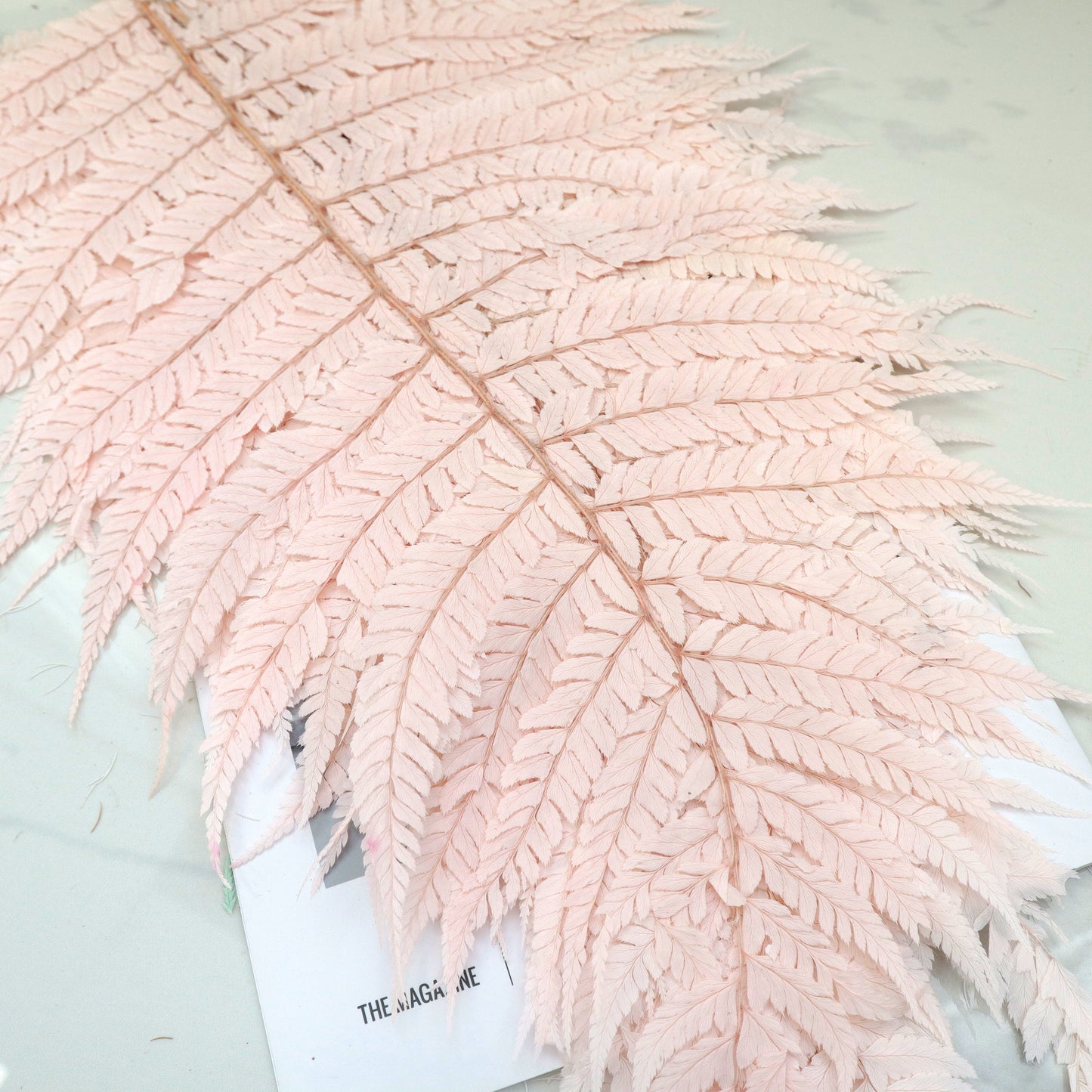 Leather Fern Medium Pink