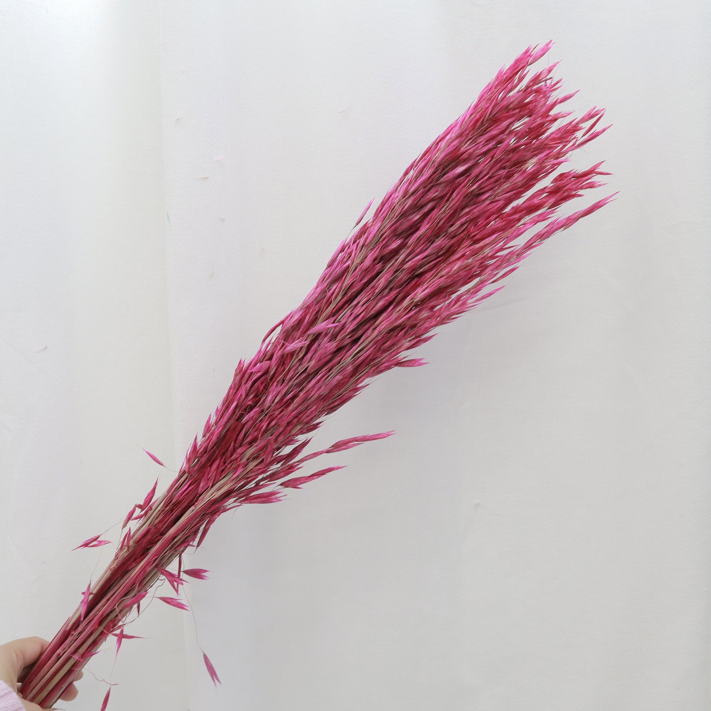 Dried Oat Magenta