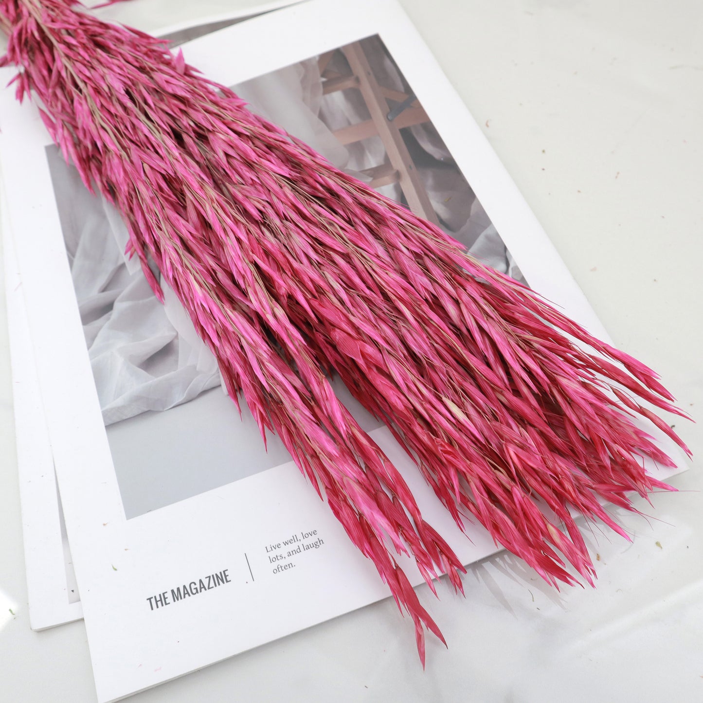 Dried Oat Magenta