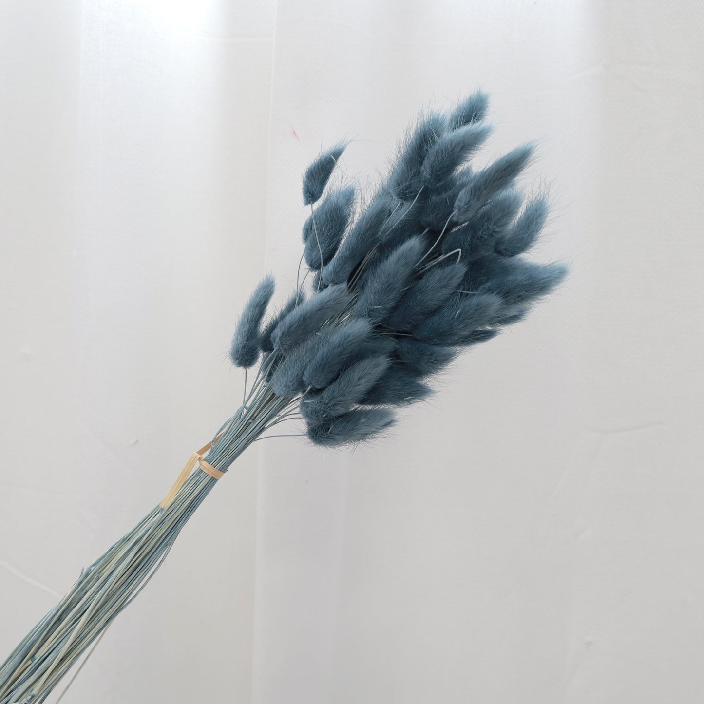 Bunny Tails Steel Blue