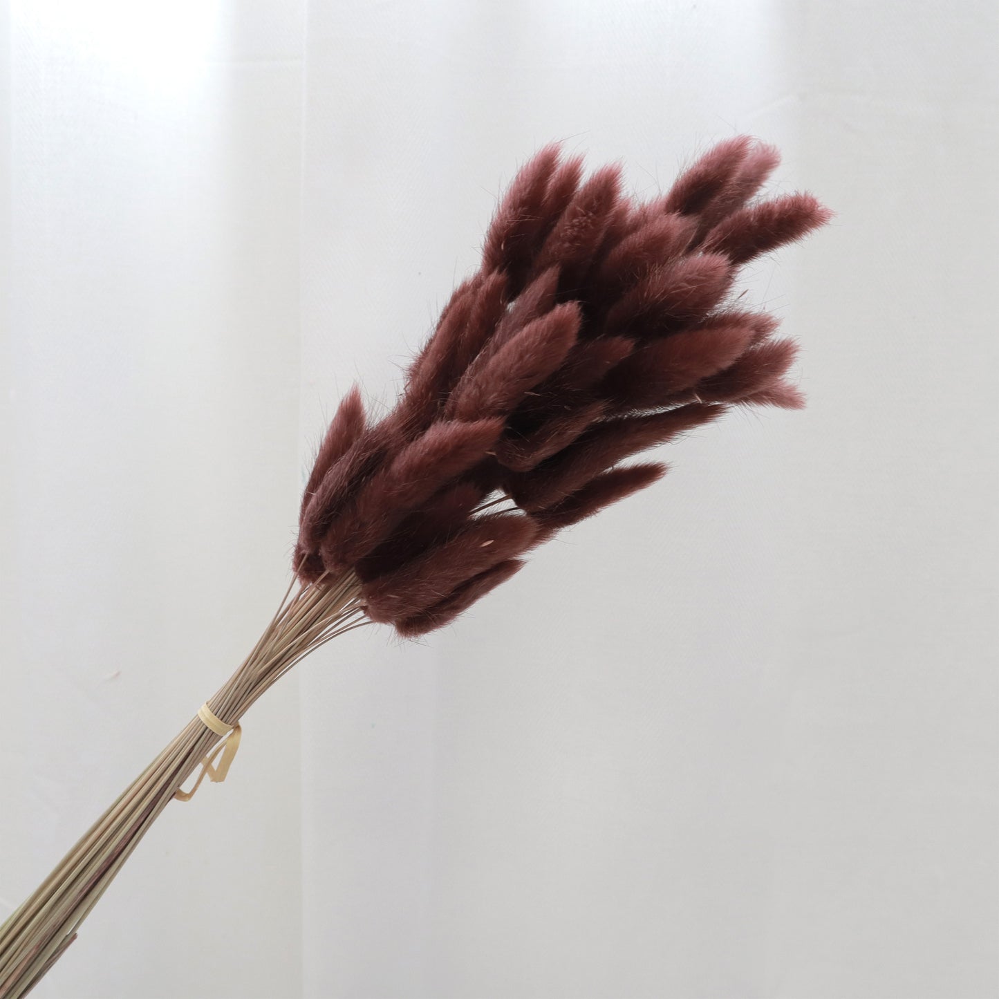 Bunny Tails Dark Maroon