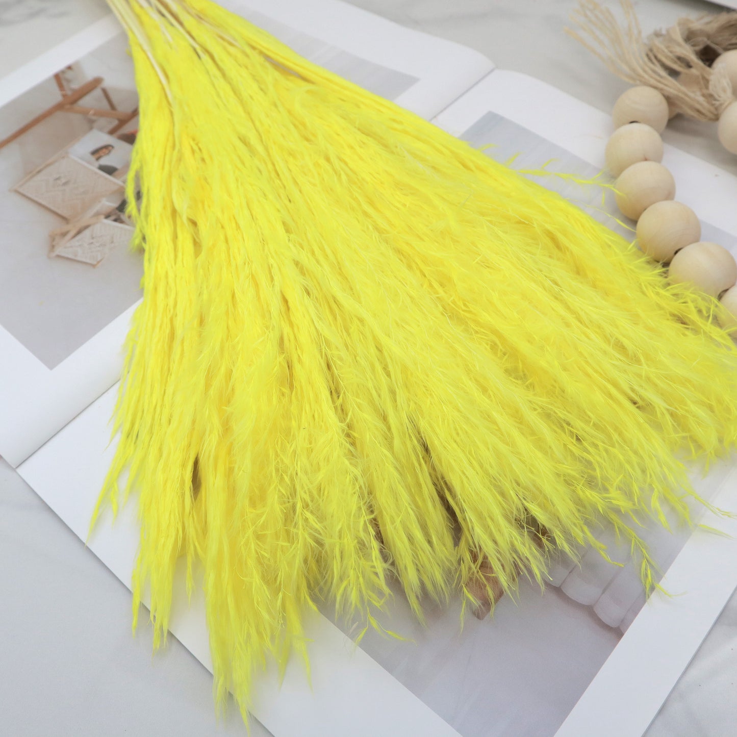 Soft Horsetail Yellow