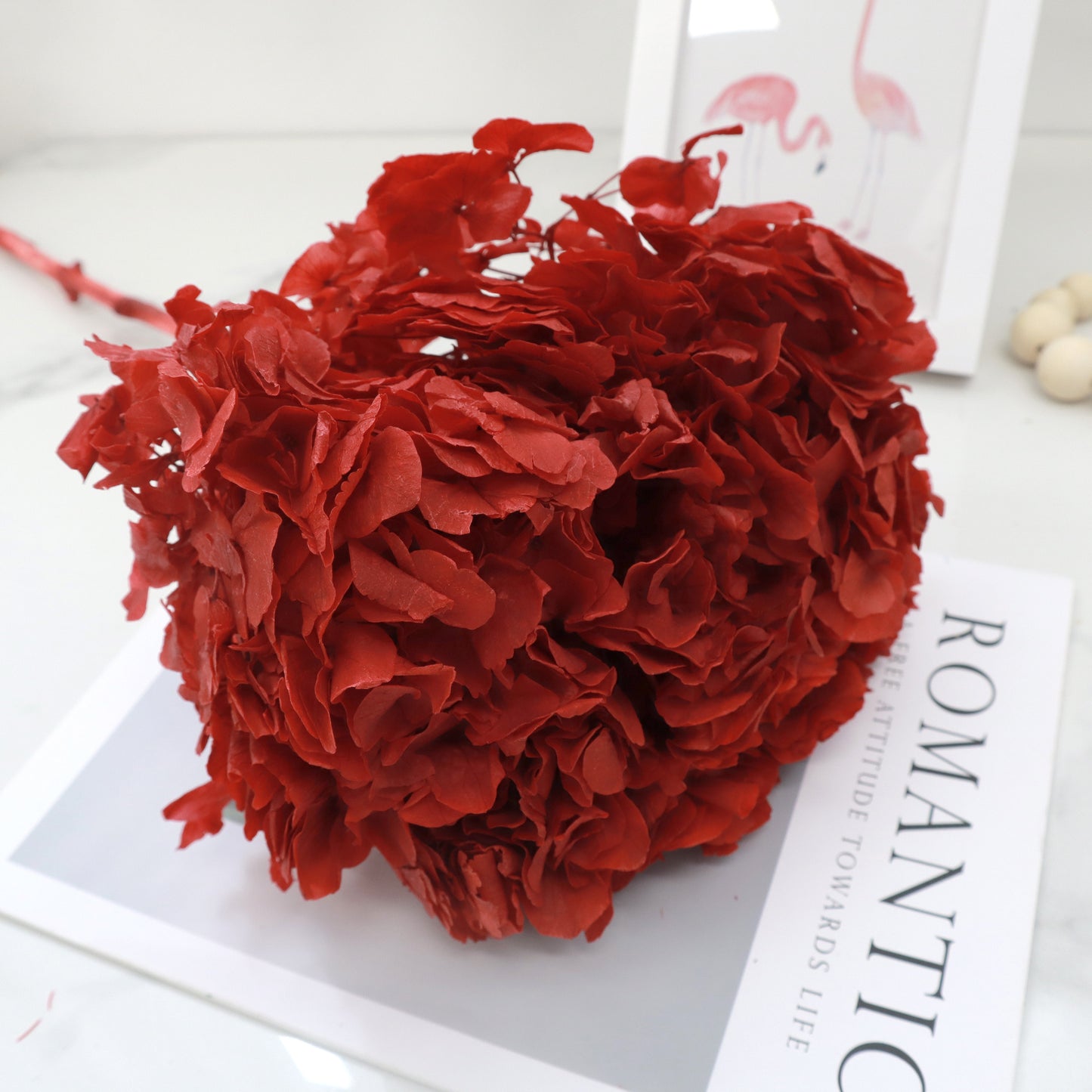 Hydrangea Bigleaf Merah Gelap