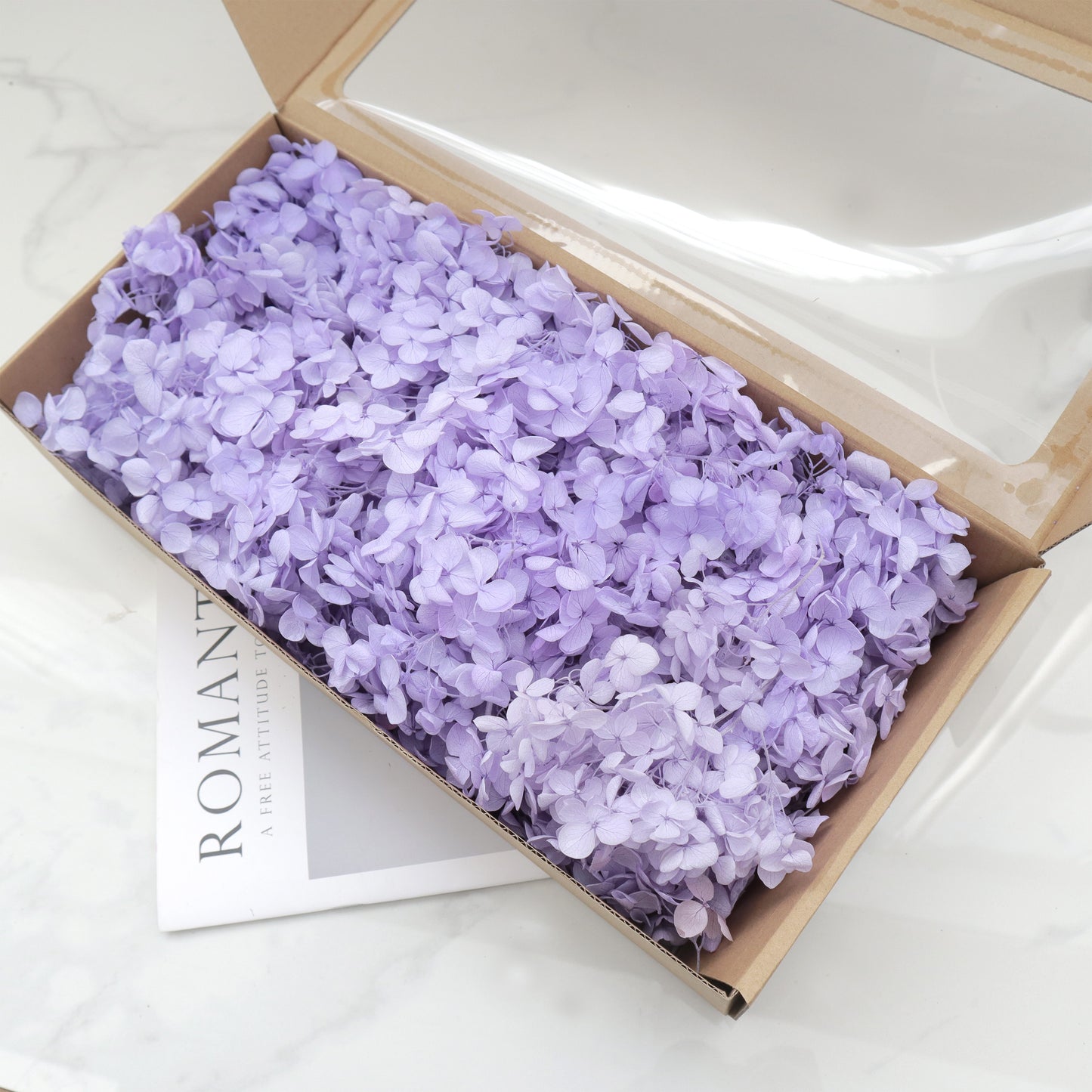 Annabelle Hydrangea 100g Kotak Lavender