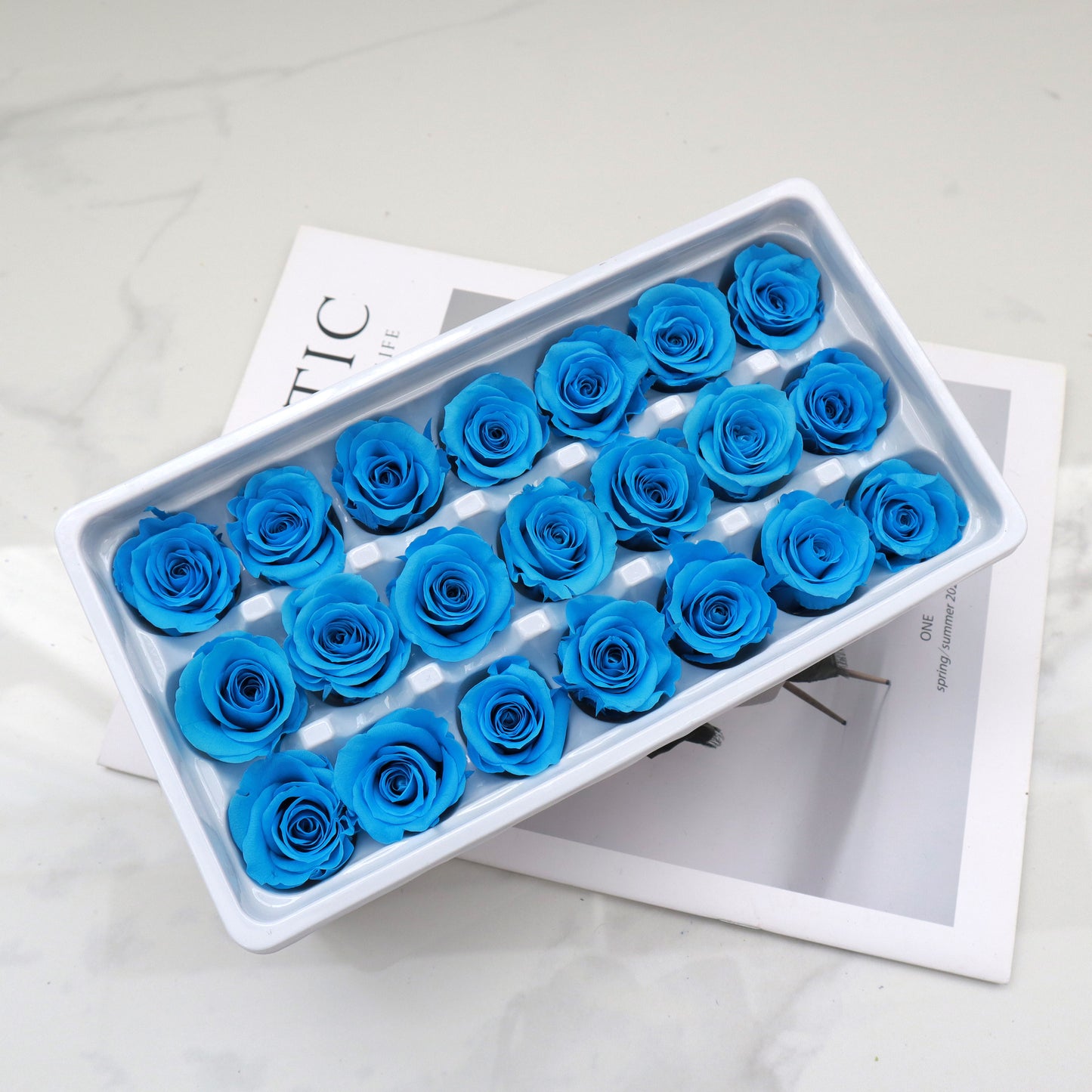 Rose Azure Blue 21 Heads