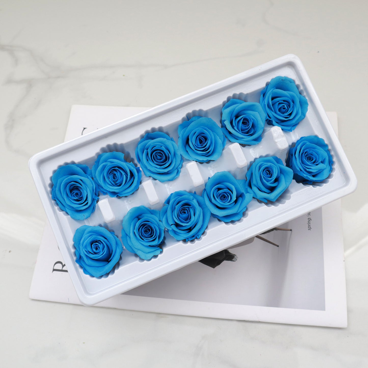 Rose Azure Blue 12 Kepala