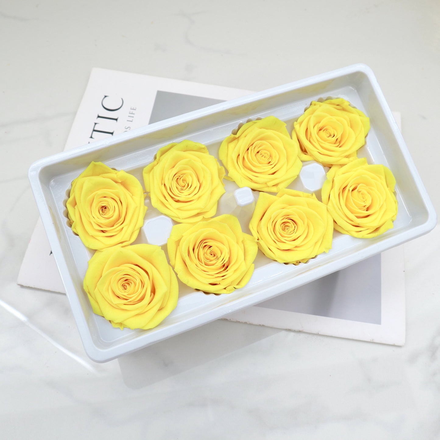 Rose Yellow 8 Heads