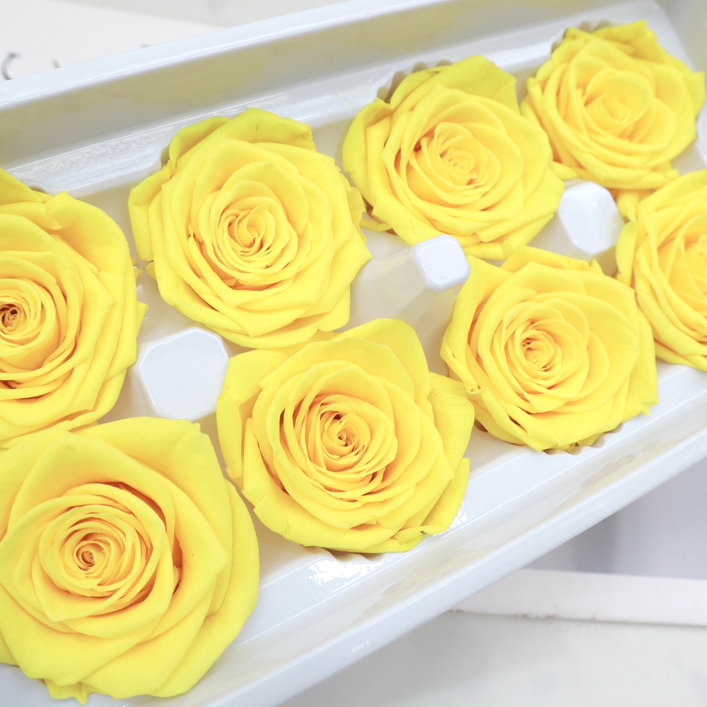 Rose Yellow 8 Heads