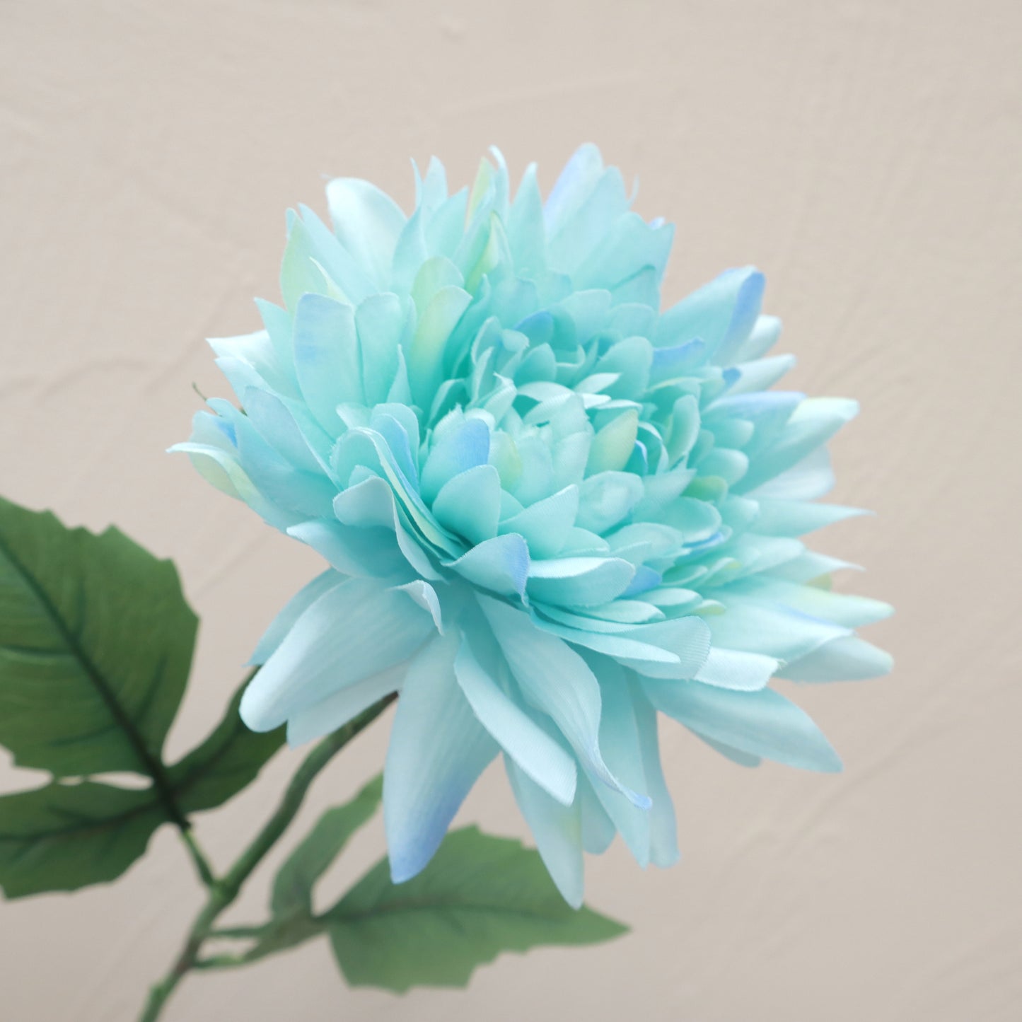 Sutera Tiruan Dahlia Liar Turquoise