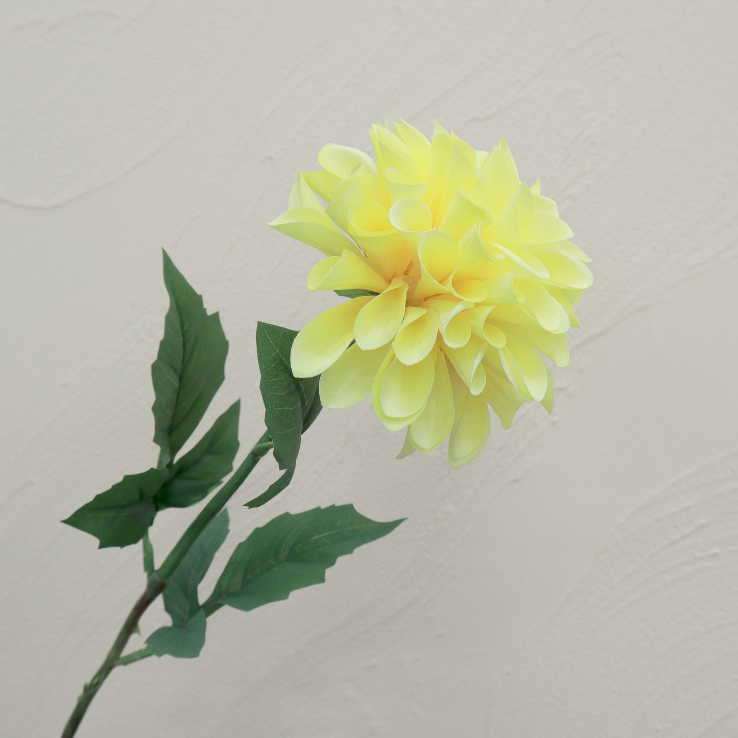 Sutera Tiruan Dahlia Kuning