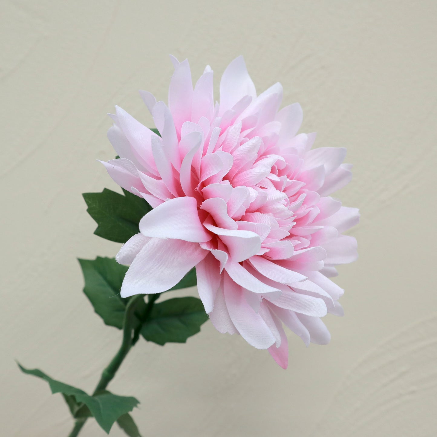 Artificial Silk Wild Dahlia Baby Pink