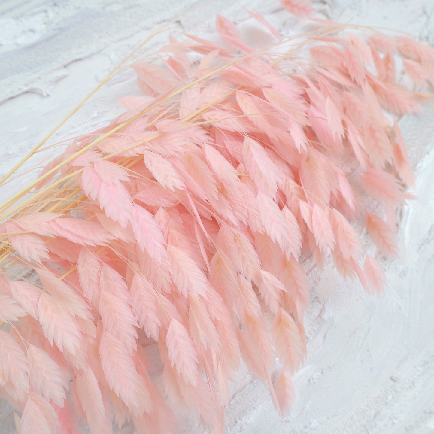 Sea Oats Pink