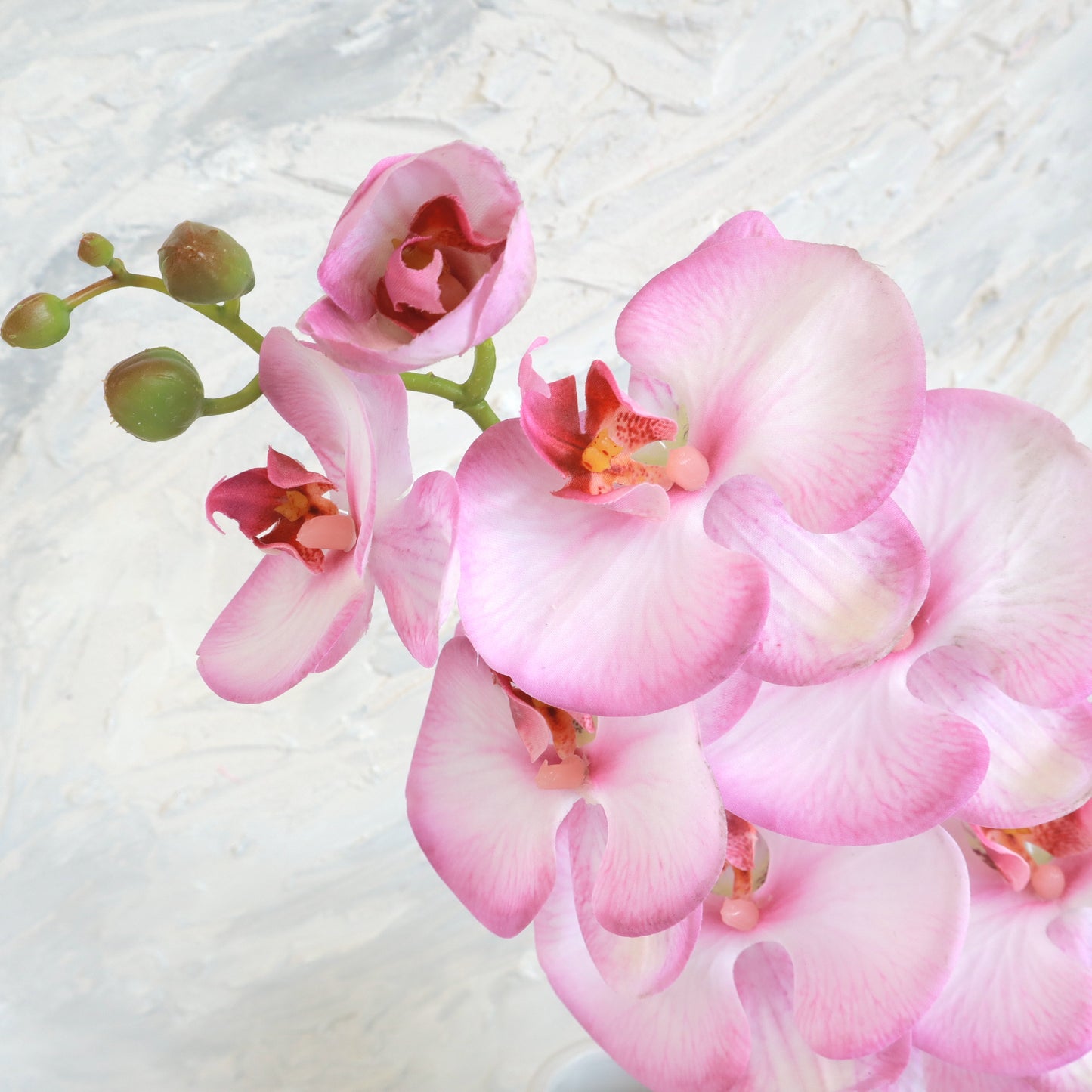 Artificial Real Touch Orchid (01)