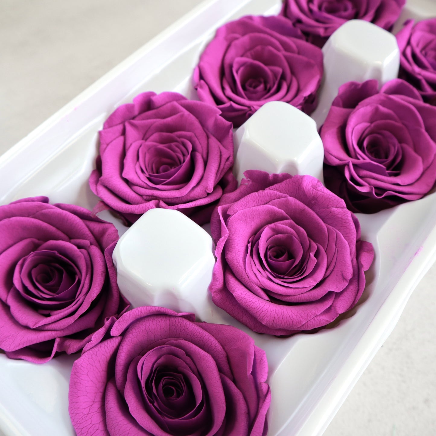 Rose Violet 8 Heads