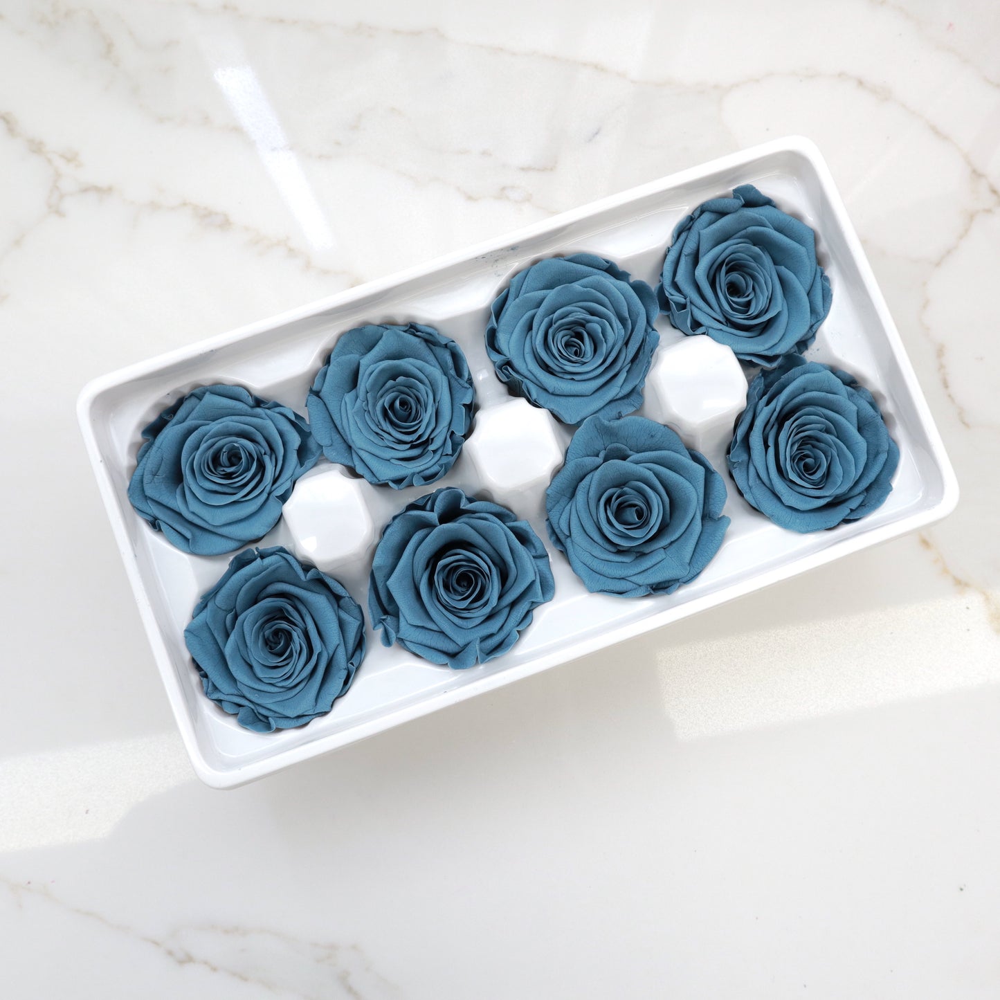 Rose Steel Biru 8 Kepala