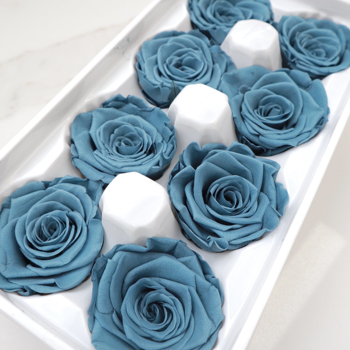 Rose Steel Biru 8 Kepala