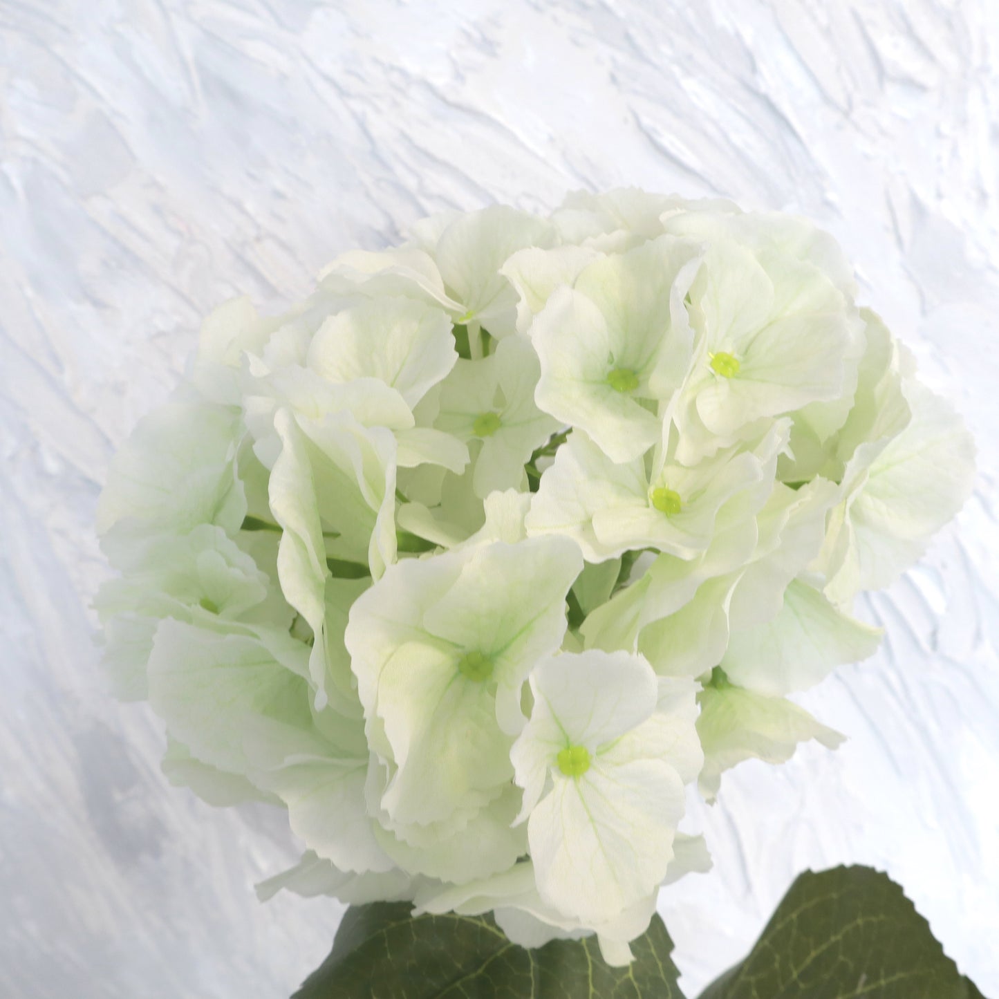 Sutera Buatan Hydrangea Bigleaf White