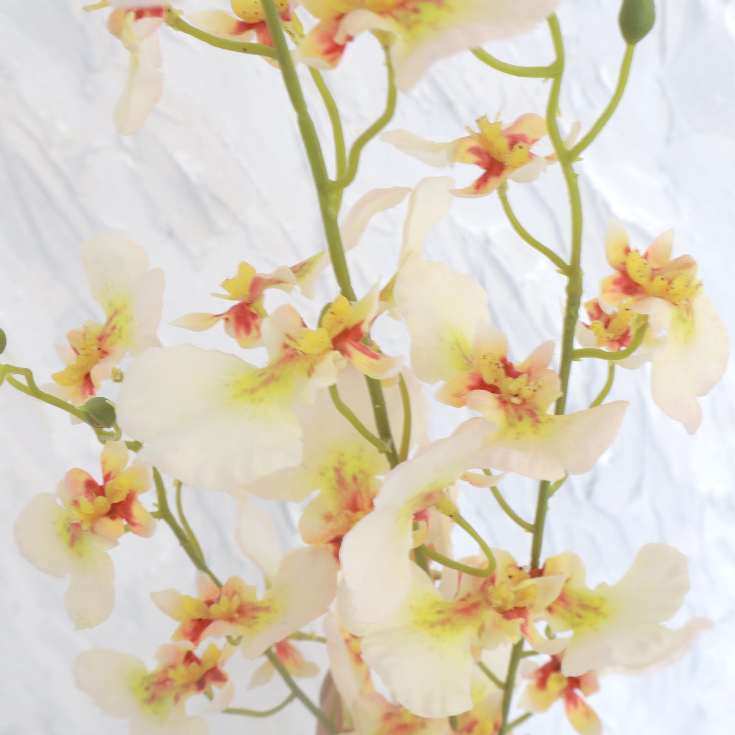 Artificial Real Touch Dancing Lady Orchid Peach