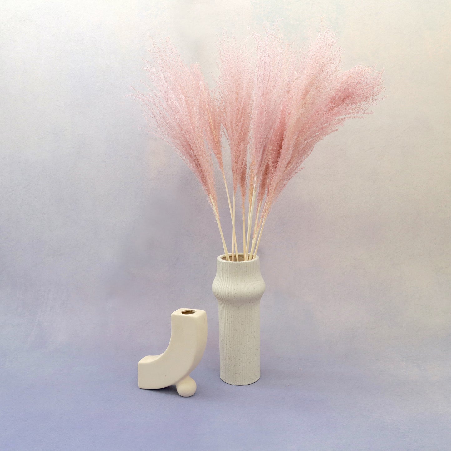 Horsetail Dusty Pink