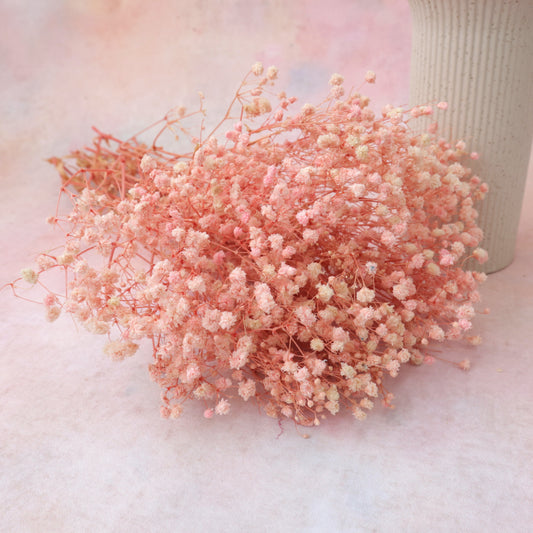 Baby's Breath Soft Pink