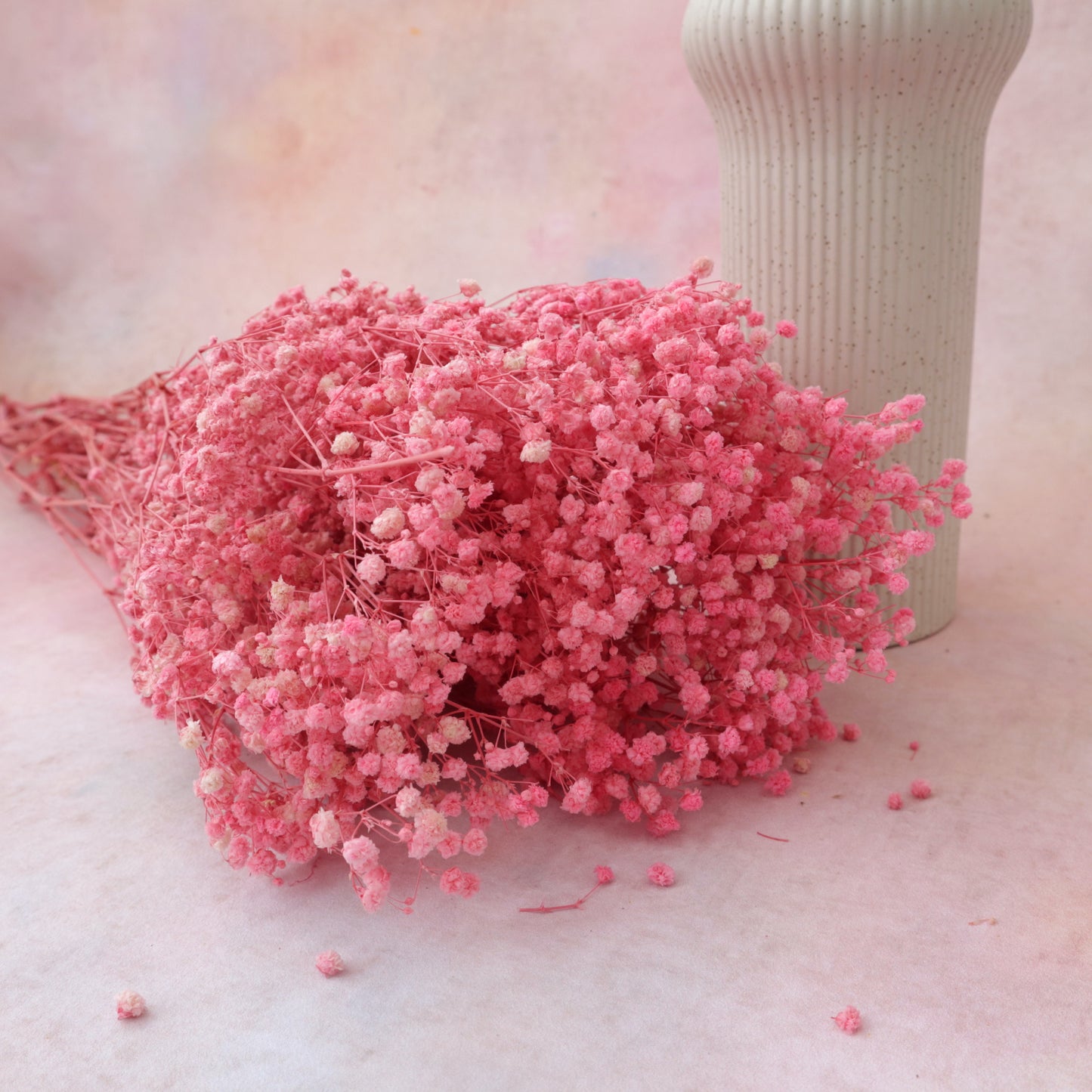 Baby's Breath Hot Pink