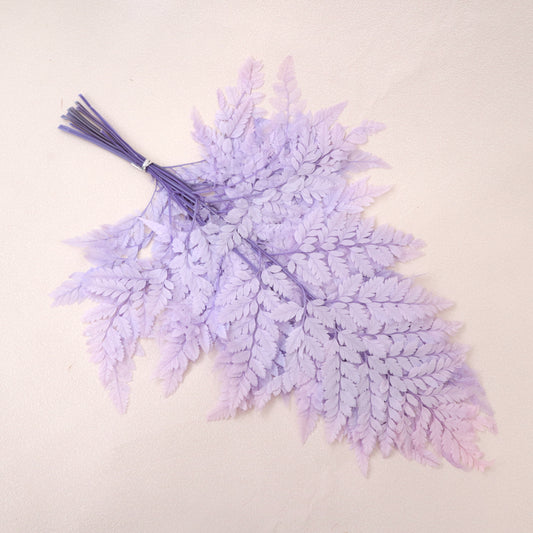 Leather Fern Small Purple