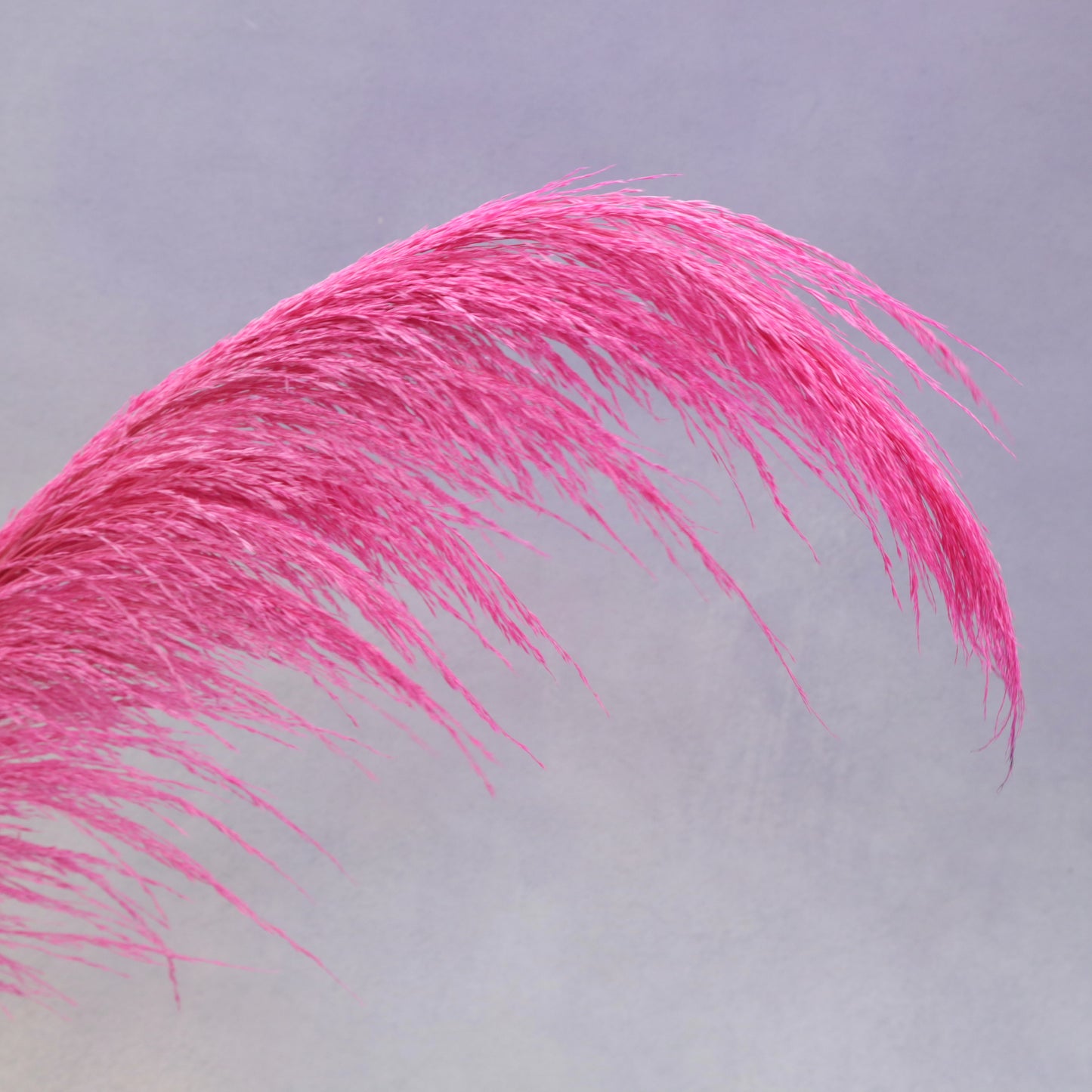 One Side Hanging Pampas Hot Pink