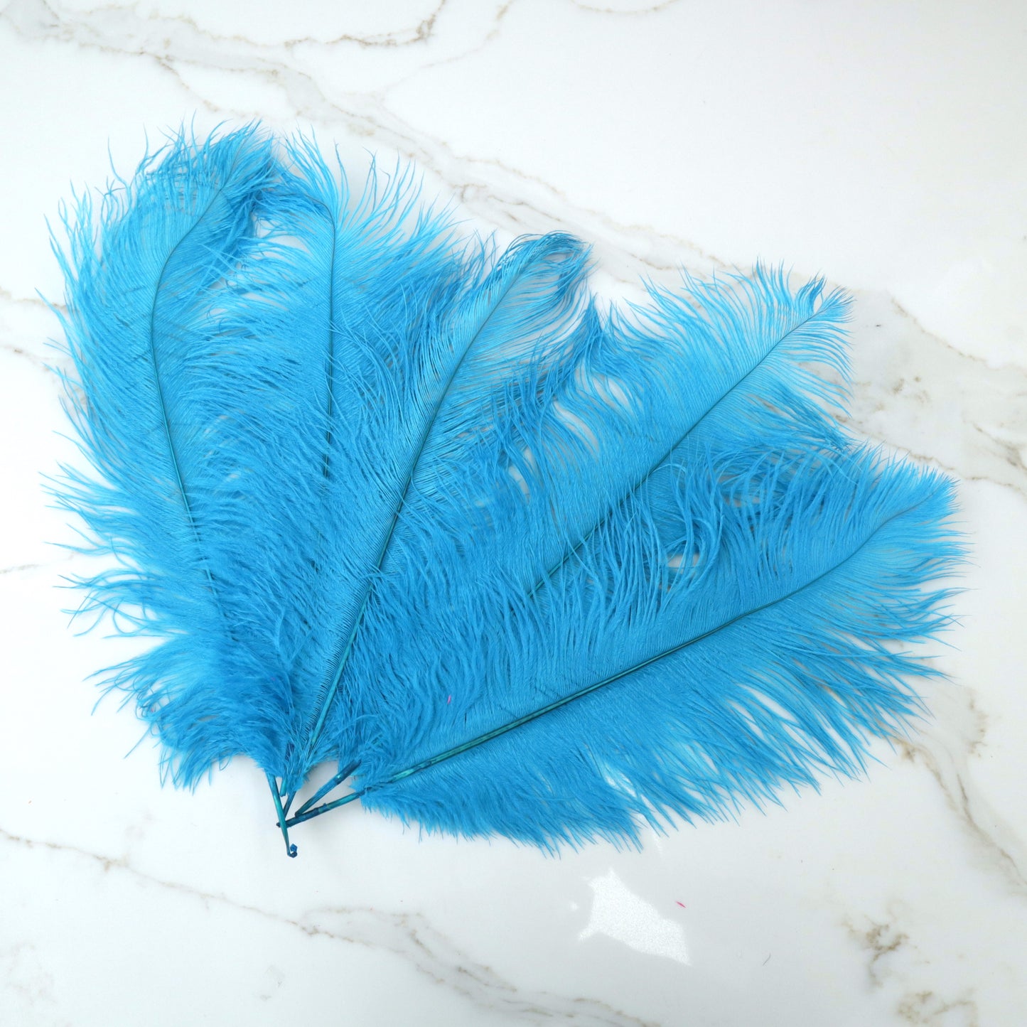 5 pcs Ostrich Feathers Cyan